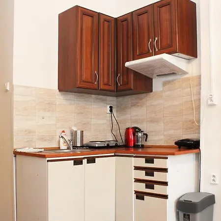 Spacious Ujezd * براغ